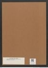 Diatomeae indet. Zeichnungen Sammlung Grunow Mappe 02691 (Herbarium_W_Grunow_drawings_Folder_02691)